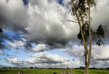 28圈：[NBA]詹姆斯开启得分模式 连续两记三分入网.