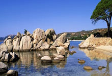 队报为法国队评分：科纳特2分最低，迈尼昂6分最高.